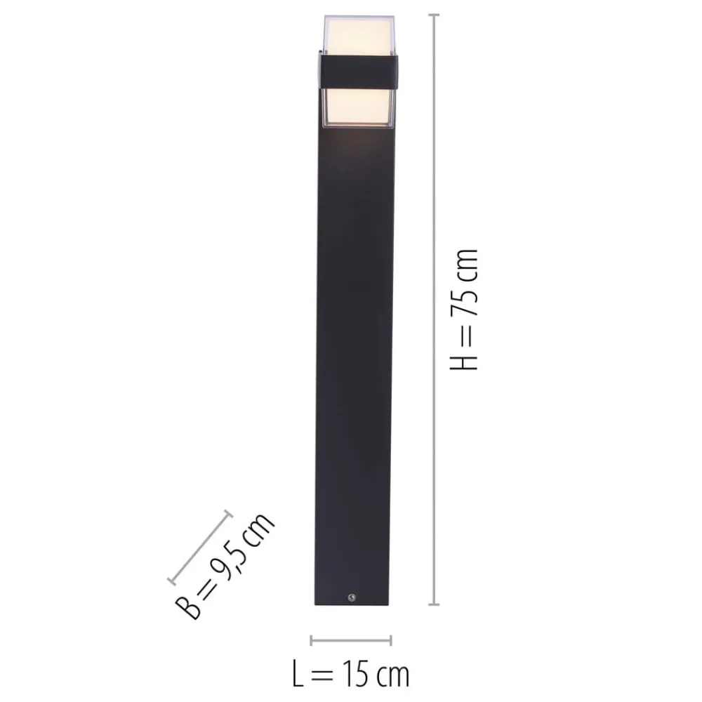 Paul Neuhaus Cara LED-veilampe up/down