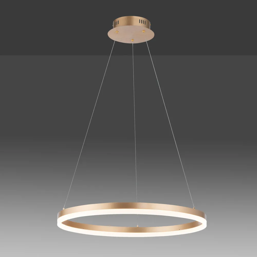 Paul Neuhaus LED-hengelampe Titus, Ø 60 cm, messing, dimbar Discount