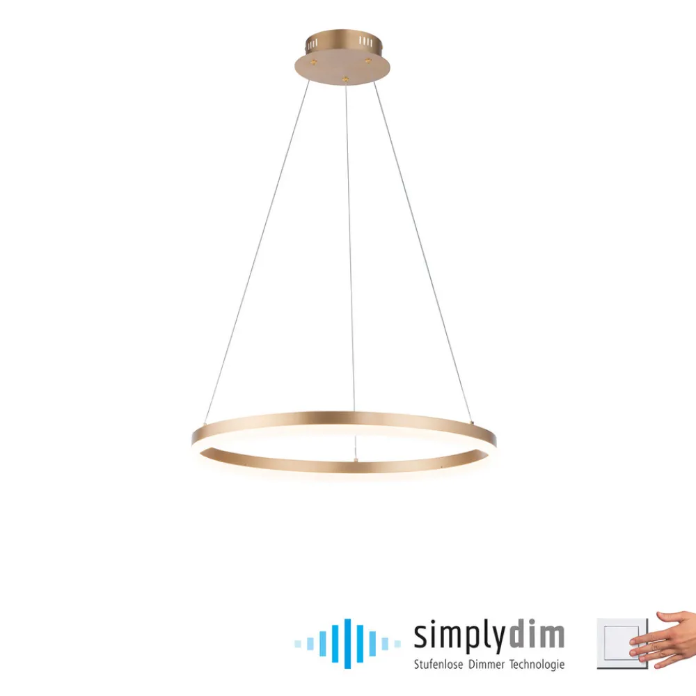 Paul Neuhaus LED-hengelampe Titus, Ø 60 cm, messing, dimbar Discount