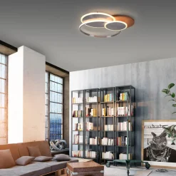 Paul Neuhaus LED-taklampe Palma, tre, CCT, 65 cm, dimbar Online