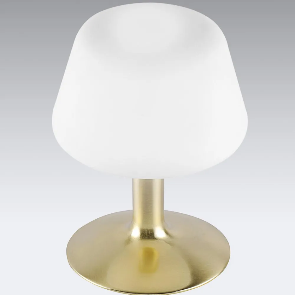 Paul Neuhaus Till bordlampe, messingfarget, glass, dimbar Clearance