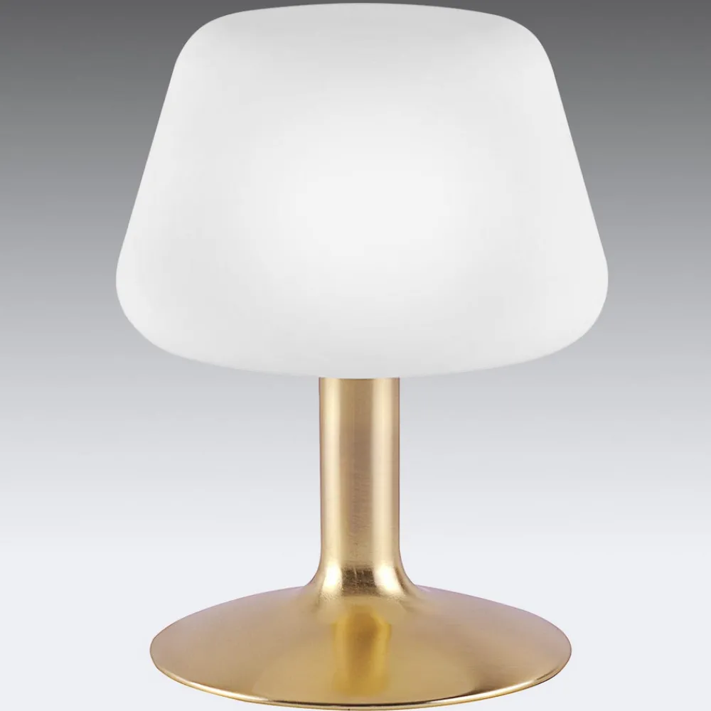Paul Neuhaus Till bordlampe, messingfarget, glass, dimbar Clearance