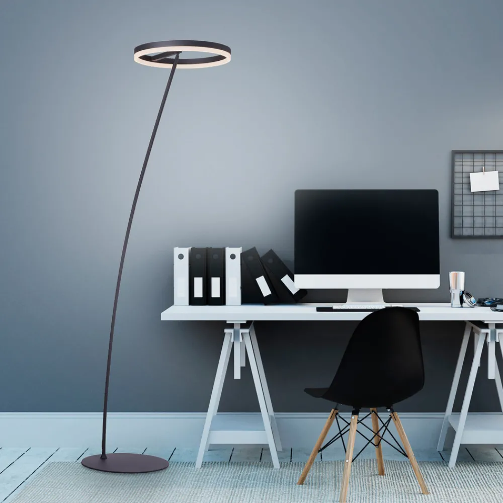 Paul Neuhaus Titus LED-gulvlampe antrasitt dimmer Sale