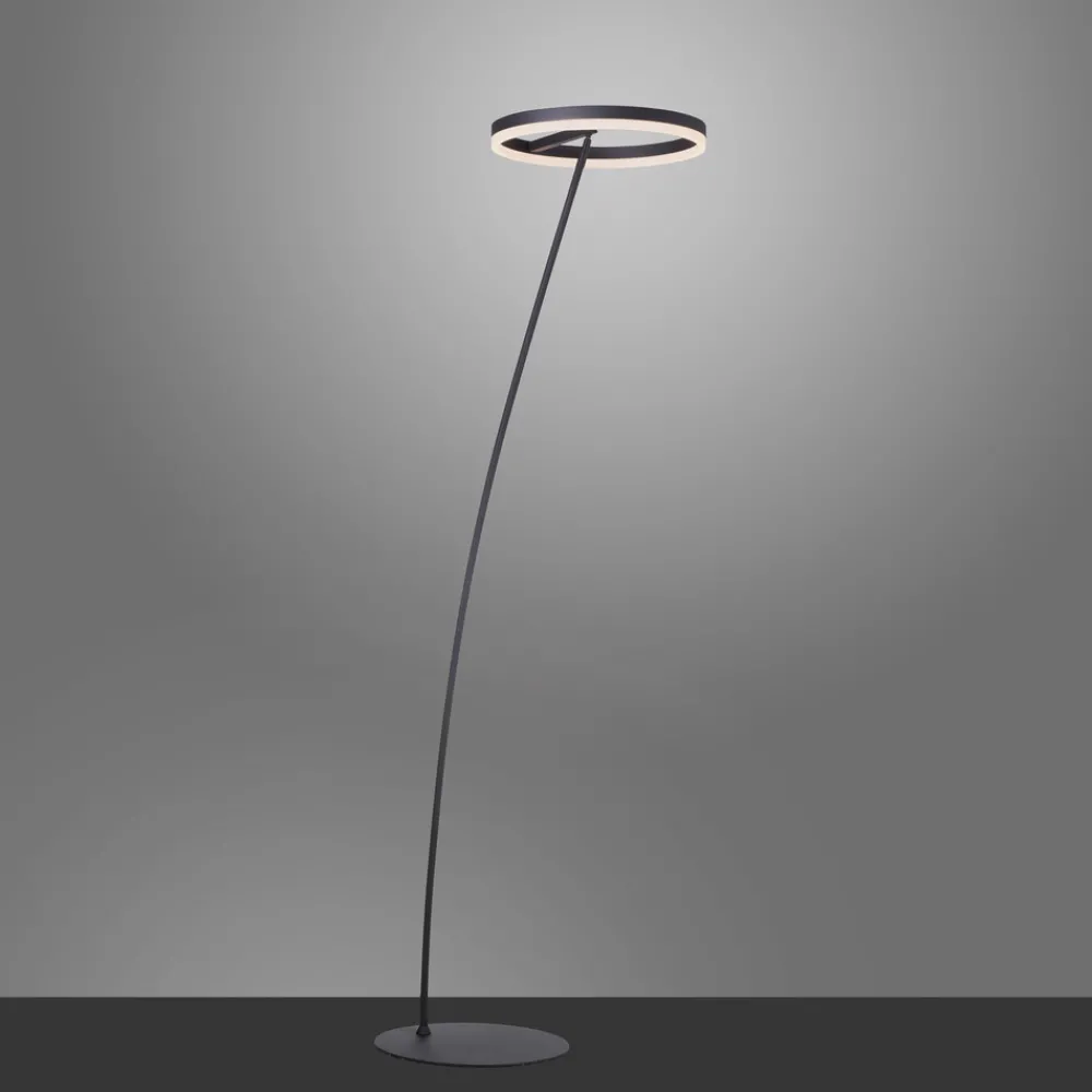 Paul Neuhaus Titus LED-gulvlampe antrasitt dimmer Sale
