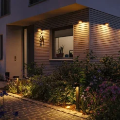 Paulmann Capea utendørs vegglampe i antrasitt aluminium| Kommersiell Utebelysning|Led-Utendørs