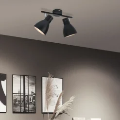 Paulmann Davy taklampe, svart, 2 lyskilder Hot