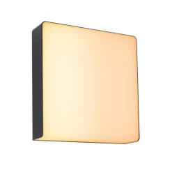 Paulmann LED utendørs vegglampe Azalena zigbee, 2200K, svart Online