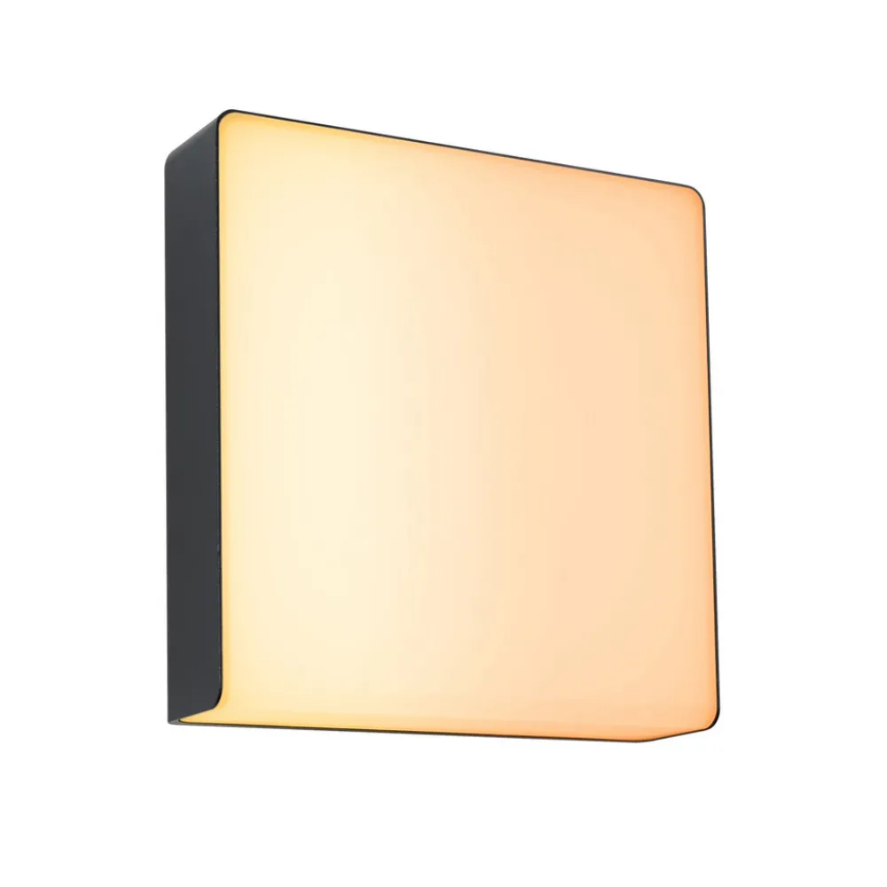 Paulmann LED utendørs vegglampe Azalena zigbee, 2200K, svart Online