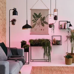 Paulmann LED-plantepære E27 Grow Green 6,5W