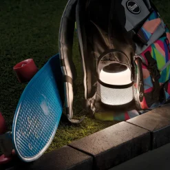 Paulmann Mobile bordlampe Clutch krom Discount