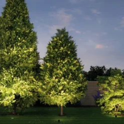 Paulmann Plug & Shine Innbyggingslampe 14 cm 3000K 38°, 14 cm Online