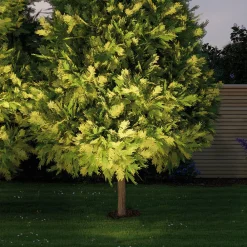 Paulmann Plug & Shine Innbyggingslampe 14 cm 3000K 38°, 14 cm Online