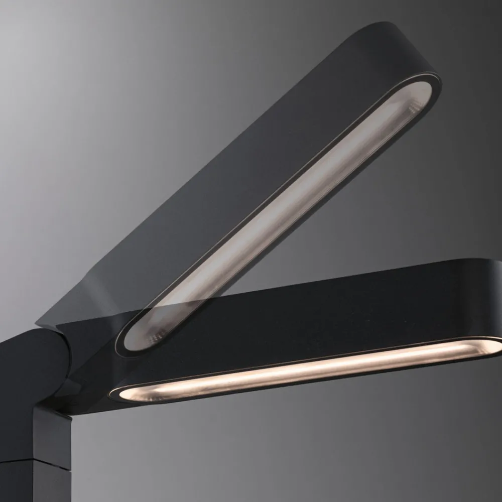 Paulmann Plug & Shine LED-veilampe, vertikal, IP65 Online