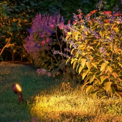 Paulmann Plug & Shine Sting jordspyd spot 2200K 1 enhet| Led-Utendørs|Utespotter