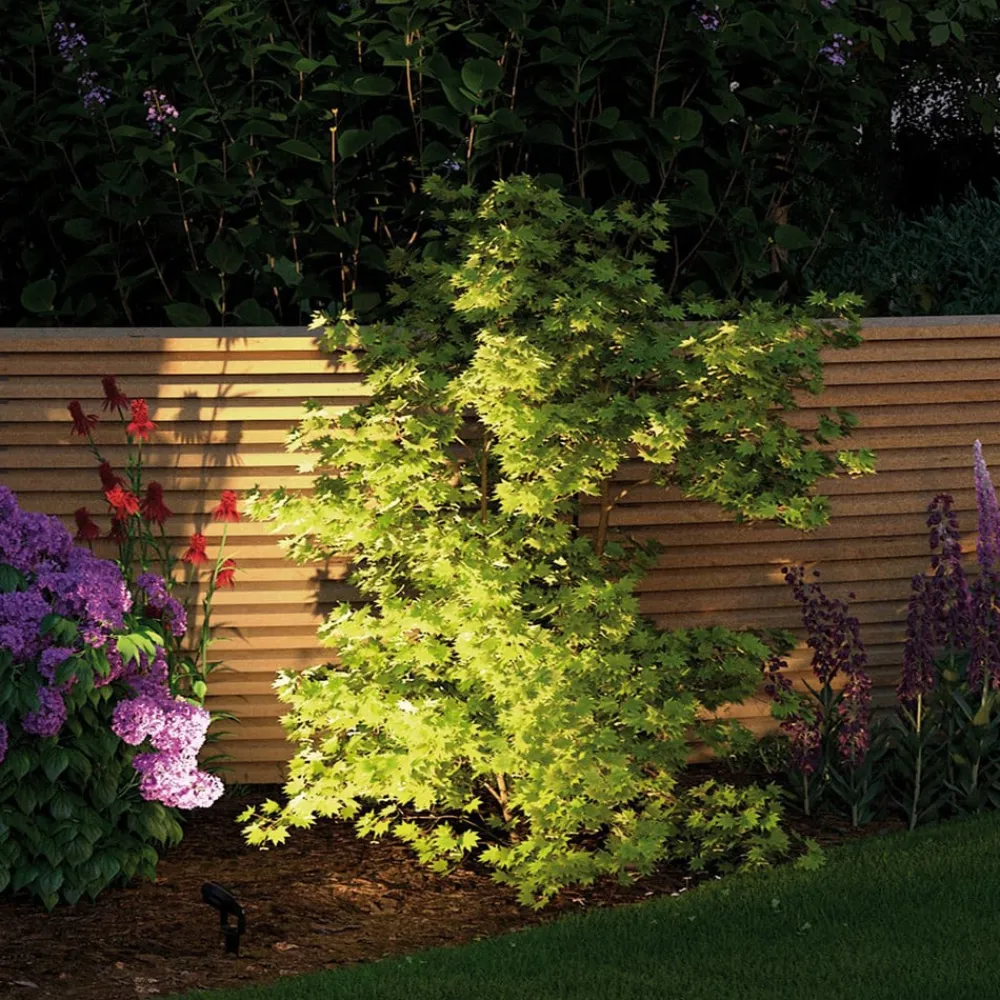 Paulmann Plug & Shine Sting 3000K 3-enheters forlengelse| Utespotter