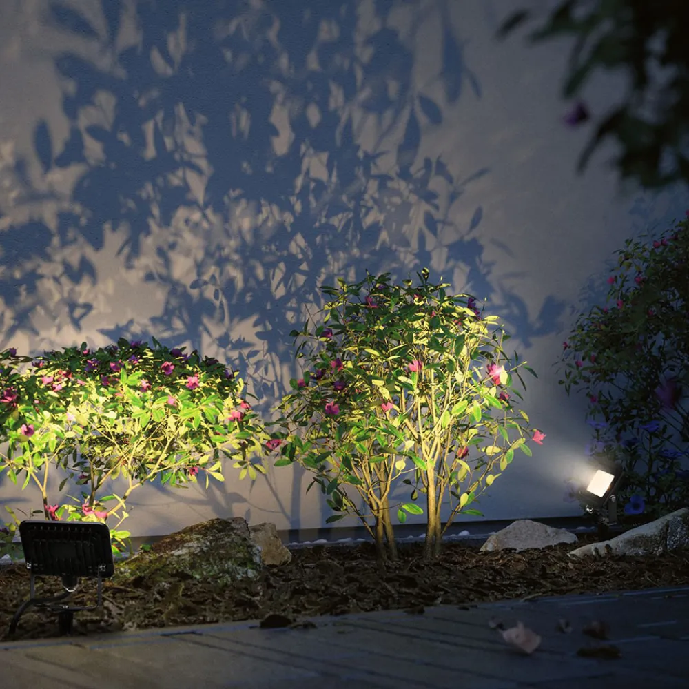 Paulmann Plug & Shine-flomlys med pigg 6,8W Sale