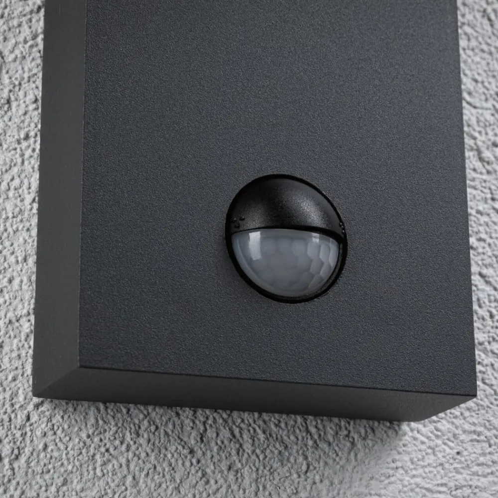 Paulmann Puka LED utendørs vegglampe med sensor| Vegglamper Med Sensor|Utebelysning Med Sensor