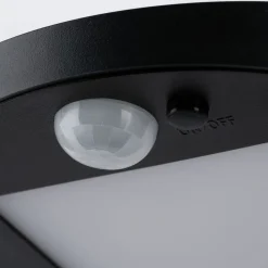 Paulmann Ryse antrasitt LED-sol-veilampe New