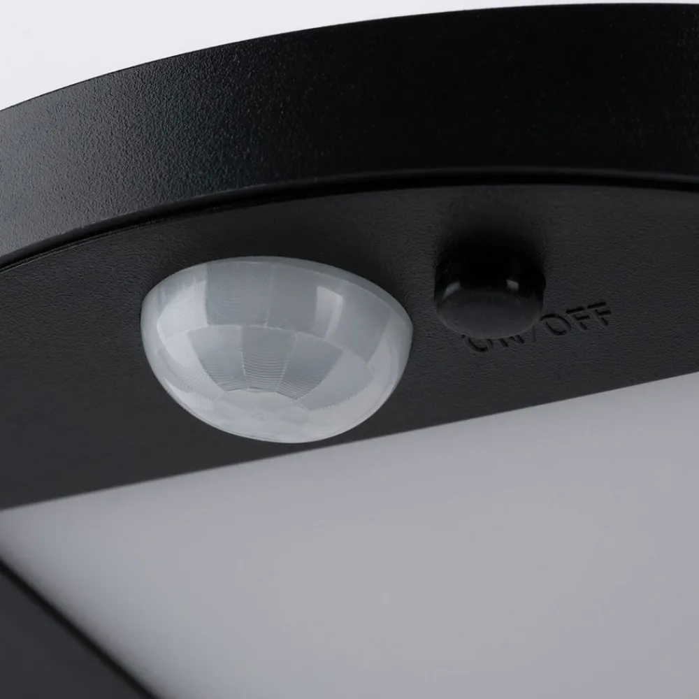 Paulmann Ryse antrasitt LED-sol-veilampe New