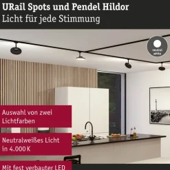 Paulmann URail Hildor LED-spot svart 4 000 K| Skinnesystem