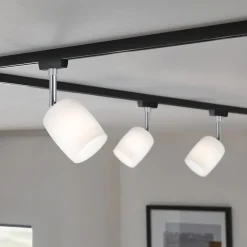 Paulmann URail Spot Blossom svart, satinert glass Best