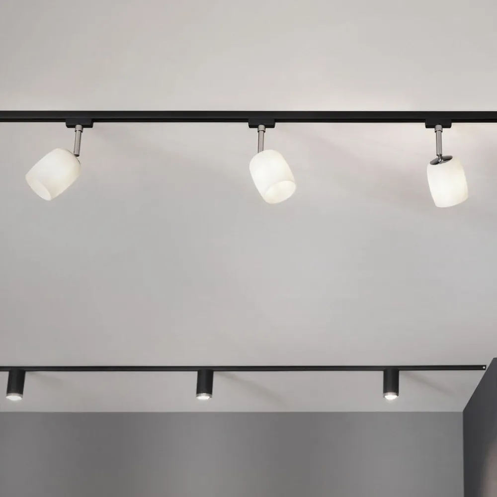 Paulmann URail Spot Blossom svart, satinert glass Best