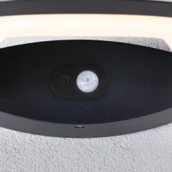 Paulmann utendørs LED-vegglampe Akena, 3 000 K, antrasitt Online