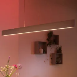 Philips Hue Ensis LED-hengelampe, RGBW Outlet