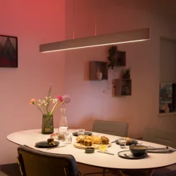 Philips Hue Ensis LED-hengelampe, RGBW Outlet