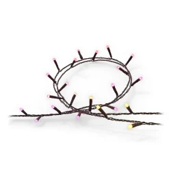 Philips Hue Festavia LED-lyskilder, CCT RGB 40 m