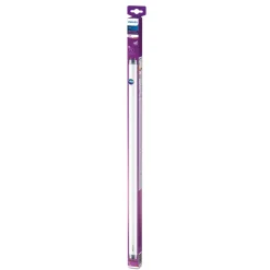 Philips LED Tube T8 G13 60 cm 8 W 3 000 K 750 lm Online