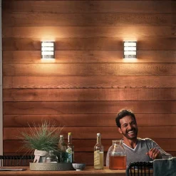 Philips LED utendørs vegglampe Python UE, grå, sensor| Vegglamper Med Sensor