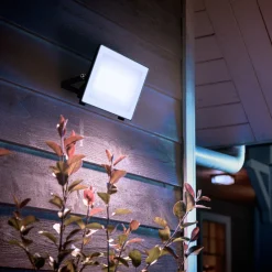 Philips utendørs LED-spot Lois UE flood, 24 W, 5000 K, IP65 Clearance