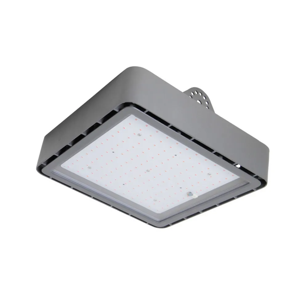 Bioledex Plantepære GoLeaf X1 S3 rød-blå fotosyntese Online