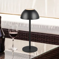 Reality Leuchten Ricardo LED oppladbar bordlampe, svart, høyde 30 cm, plast Sale