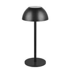 Reality Leuchten Ricardo LED oppladbar bordlampe, svart, høyde 30 cm, plast Sale