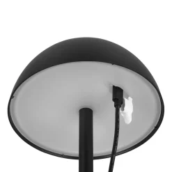 Reality Leuchten Ricardo LED oppladbar bordlampe, svart, høyde 30 cm, plast Sale