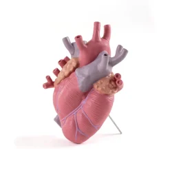 SELETTI Love in Bloom-vase, fargerik, høyde 25 cm, porselen Online