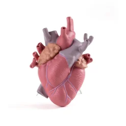 SELETTI Love in Bloom-vase, fargerik, høyde 25 cm, porselen Online