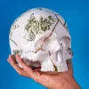SELETTI Skulptur Kintsugi Skull, hvit, porselen, gull Online