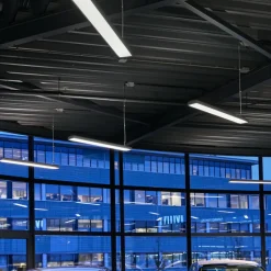 Siteco Taris pendellampe LED ECG DALI dimbar 151cm Discount