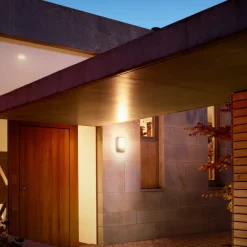 STEINEL L 12 utendørs vegglampe i antrasitt New