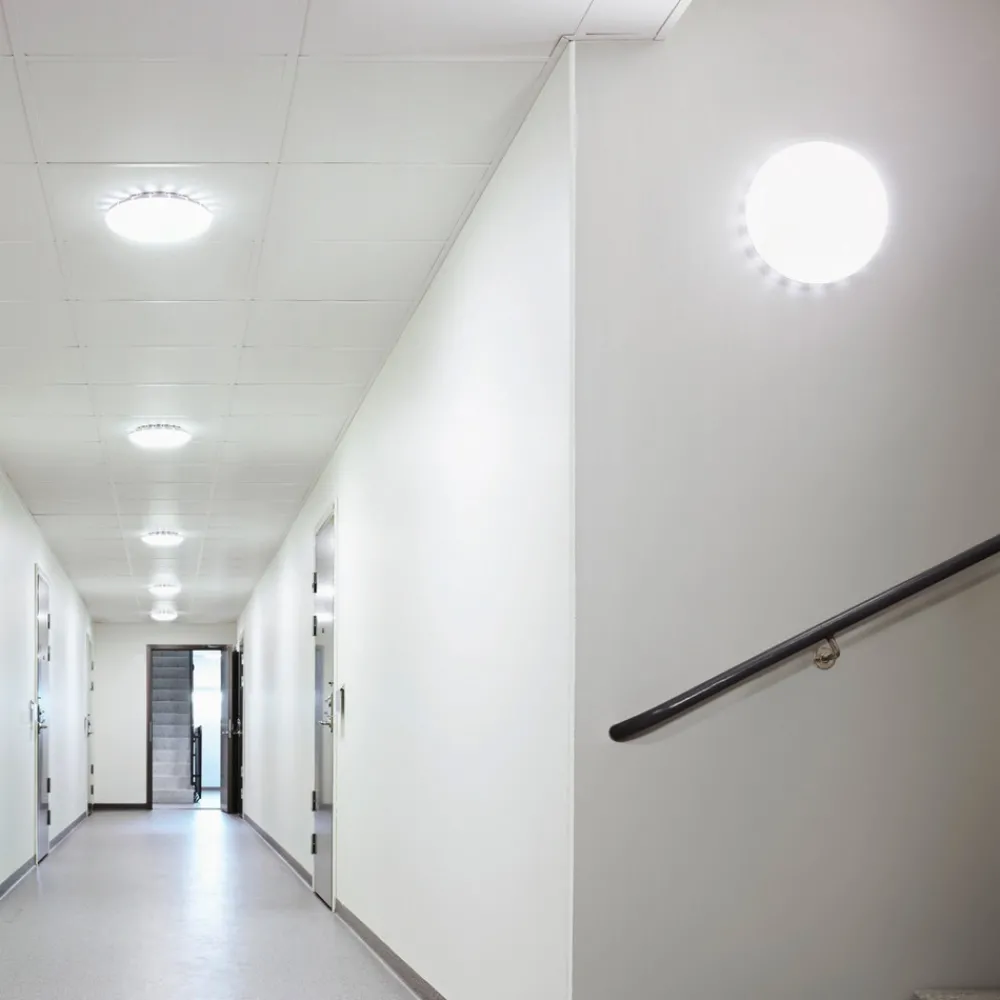 STEINEL RS Pro S10 SC LED-taklampe Sensor 4000K Outlet