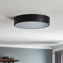 TEMAR LIGHTING Taklampe Cleo 400, IP54, Ø 40 cm svart| Design- Og Hotellbelysning|Taklamper