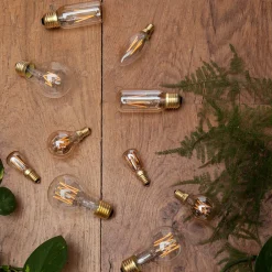 Tala LED-pære E14, 2W, farget glass, 2 200 K, 120 lm New