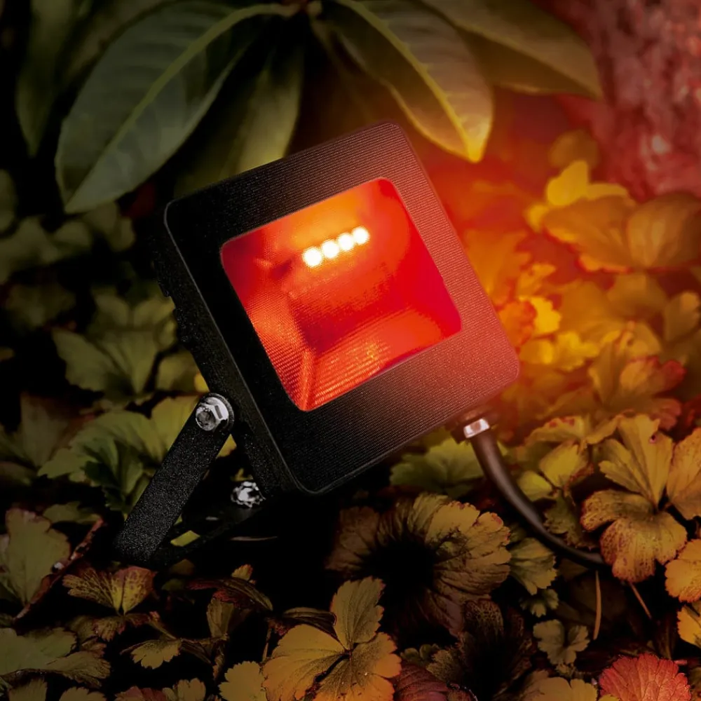 Heitronic Utendørs LED-spot Kingston med jordspyd, RGBW| Utespotter