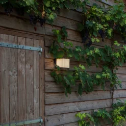 LUTEC Utendørs LED-vegglampe Doblo terning 15 cm 3 000 K| Vegglamper Utendørs