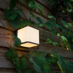 LUTEC Utendørs LED-vegglampe Doblo terning 15 cm 3 000 K| Vegglamper Utendørs