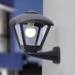 Fumagalli Utendørs vegglampe Nardo/Dario svart, klart deksel E27 CCT