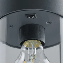 Trio Lighting Veilampe Sambesi med skumringssensor 60 cm| Gatebelysning, Pullert Belysning